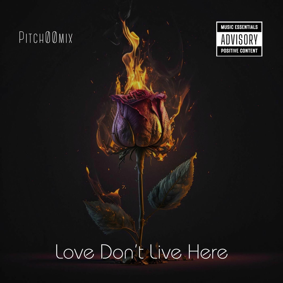 Love Don't Live Here